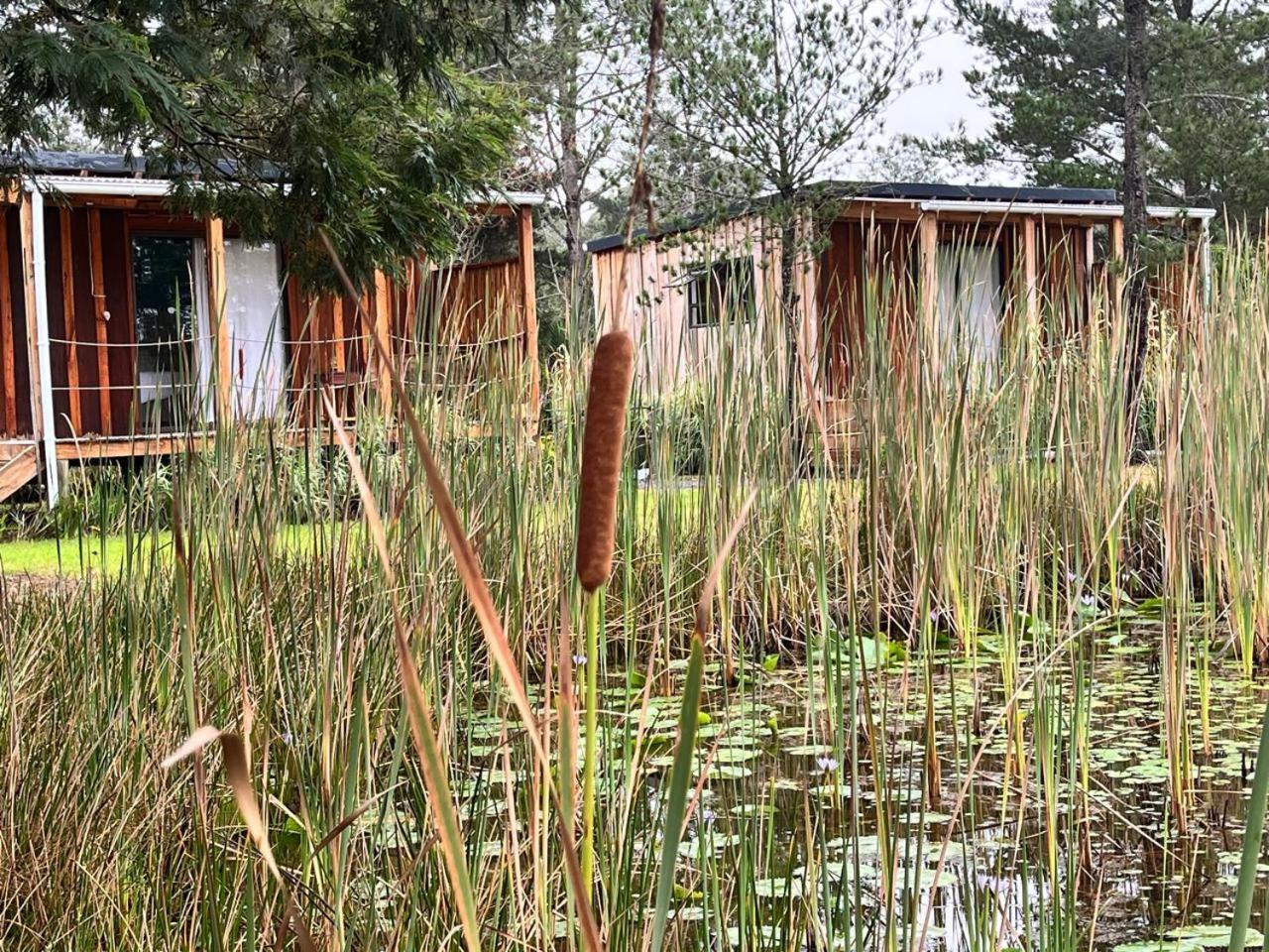 Forest Gate Resort Plettenberg Bay Ngoại thất bức ảnh