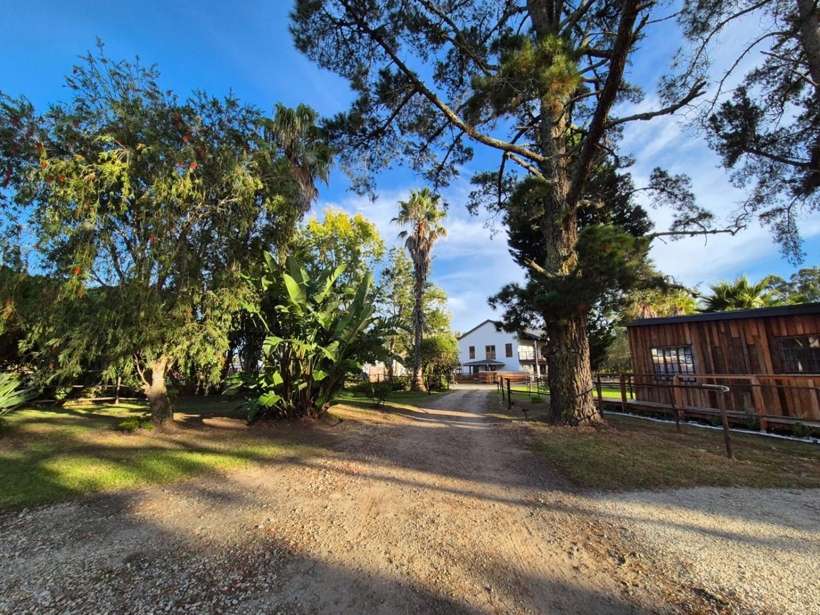 Forest Gate Resort Plettenberg Bay Ngoại thất bức ảnh